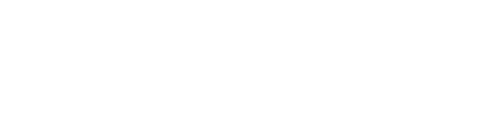 New York State of Opportunity - Council on the Arts logo